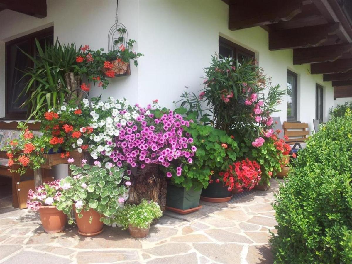Haus Johanna Westendorf Luaran gambar